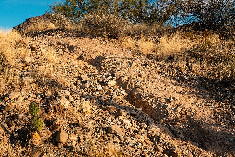 How Does a Mouth Guard Protect Your Teeth? - Sonoran Desert