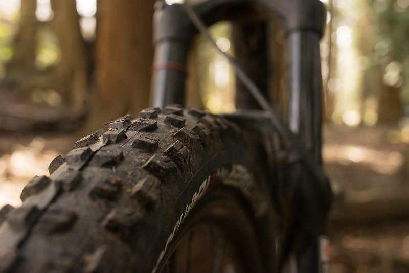 Tire Review Bontrager XR4 Team Issue Freehub Magazine