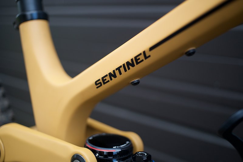 Transition sentinel online specs