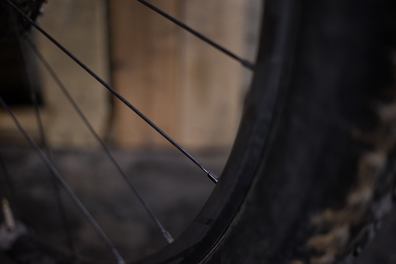 Wheel Review SRAM Roam 60 Freehub Magazine